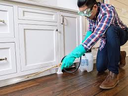 Best Real Estate Pest Inspections  in Pomona, CA